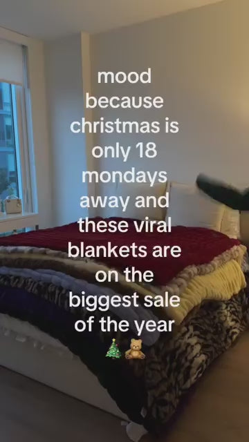 blancket