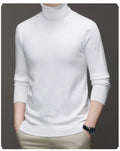 Veloura cashmere turtleneck sweater